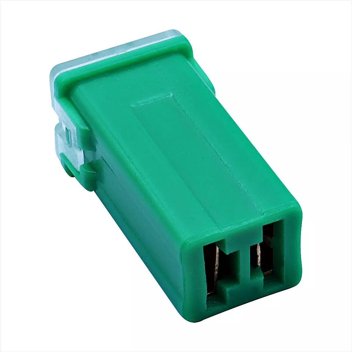 Picture of 40A Yeşil Uzun Dişi Kartuş Sigorta PAL Cartridge