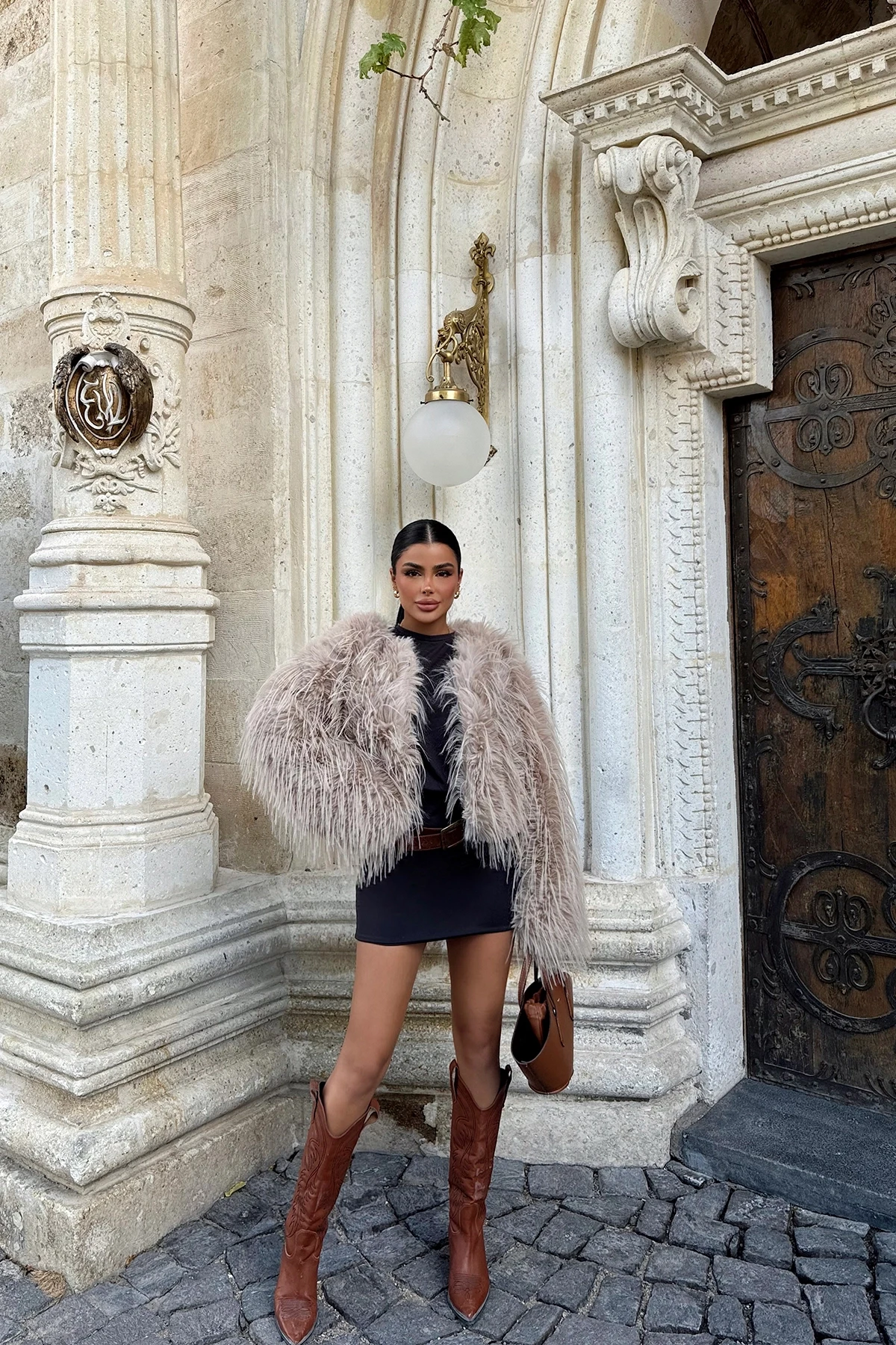 Picture of Beige Short Fur