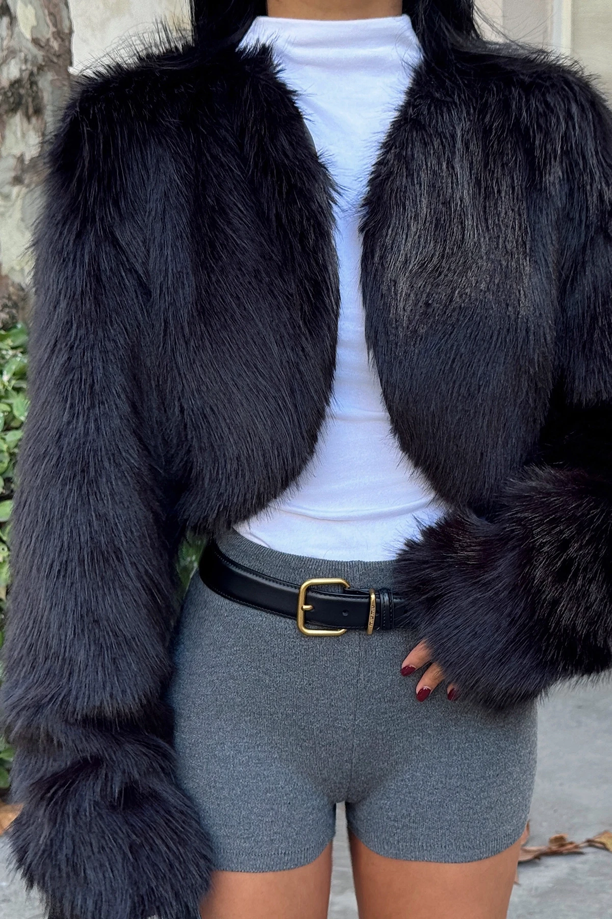 Picture of Black Short Fur