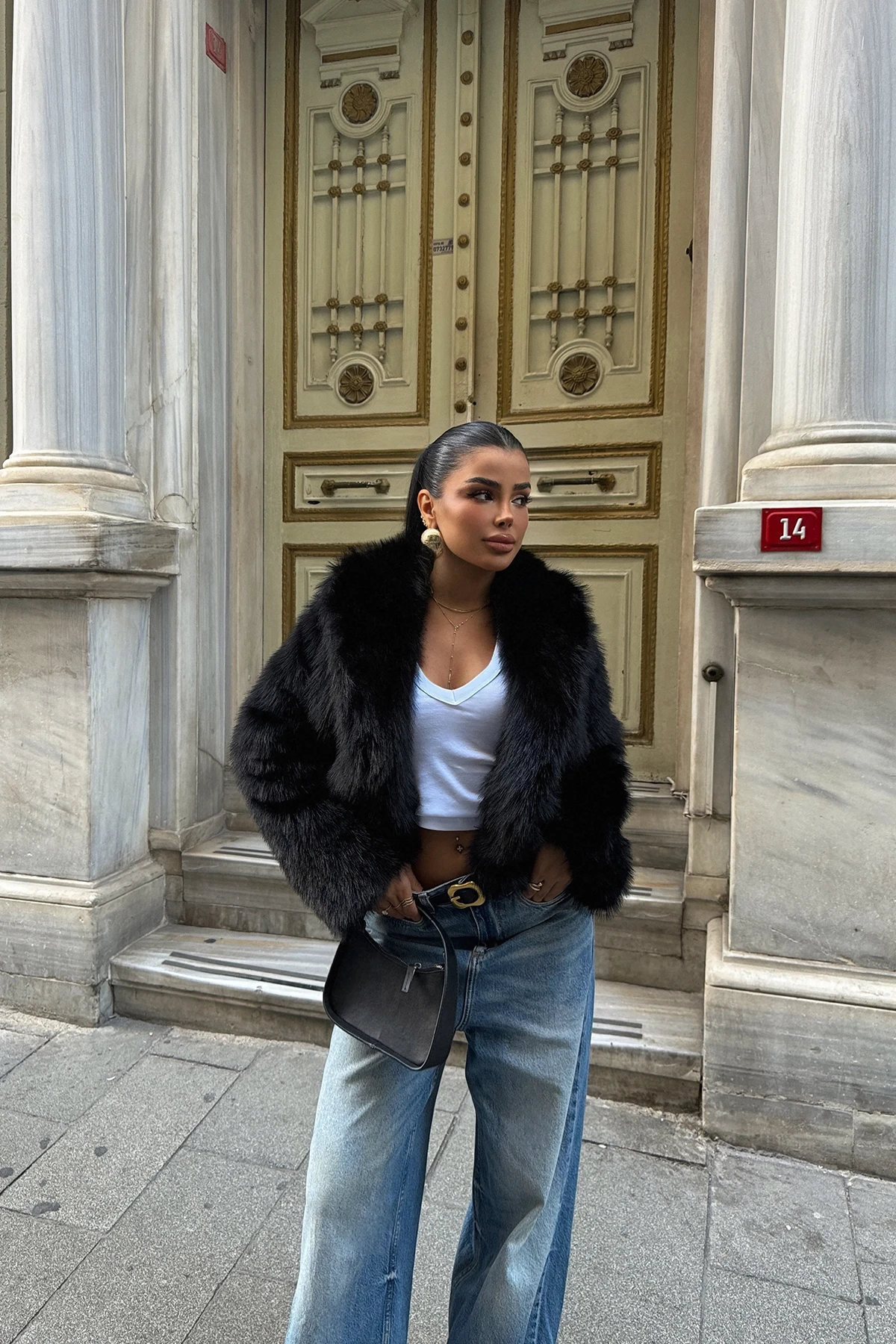 Picture of Black Short Fur