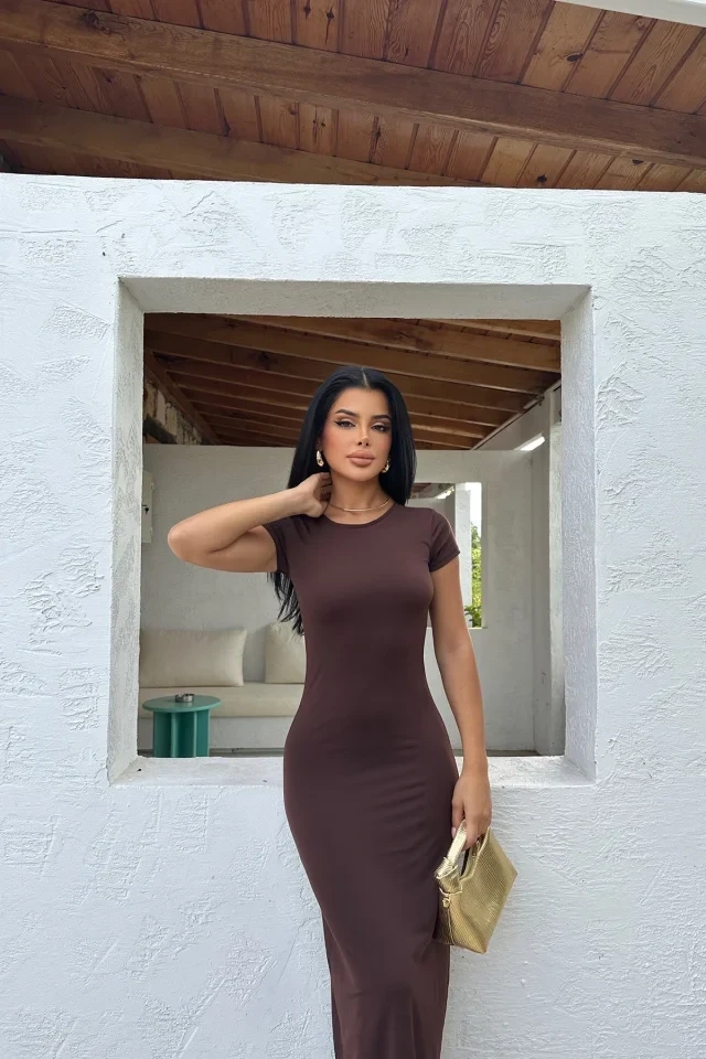Picture of Brown Long Dress