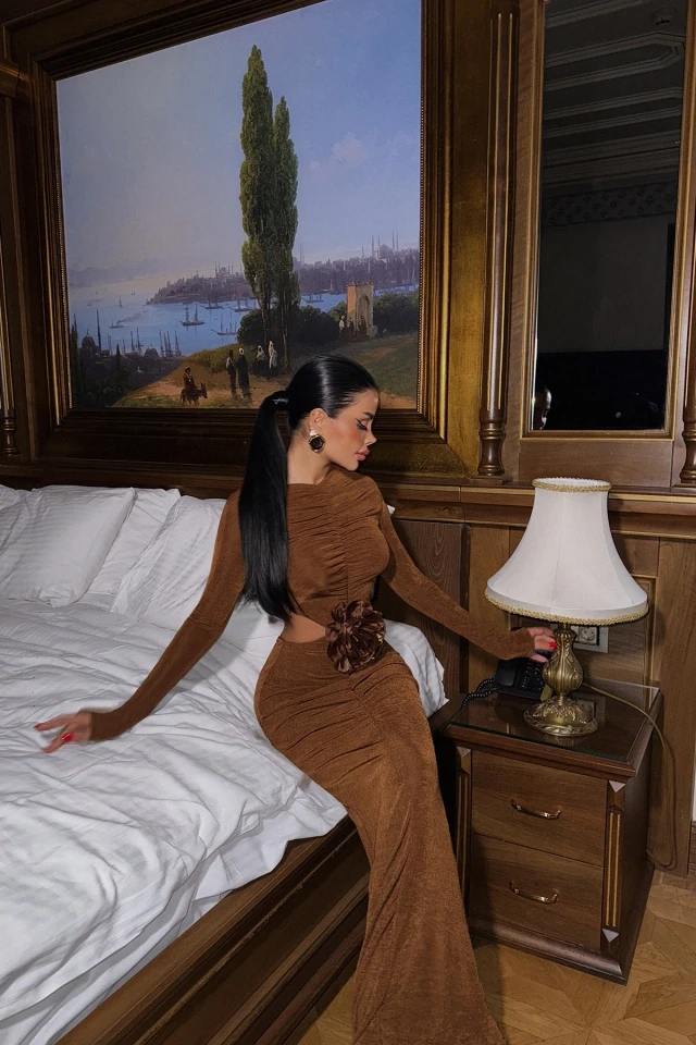 Picture of Brown Fierello Dress