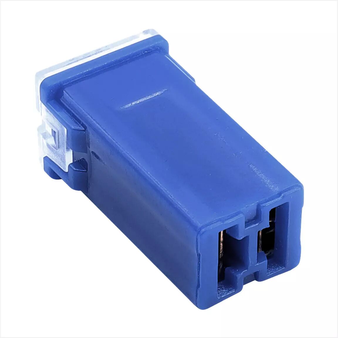 Picture of 100A Lacivert Uzun Dişi Kartuş Sigorta PAL Cartridge