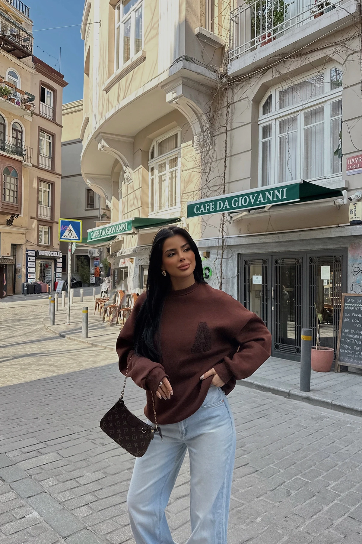 Picture of Brown A Embroidered Sweat