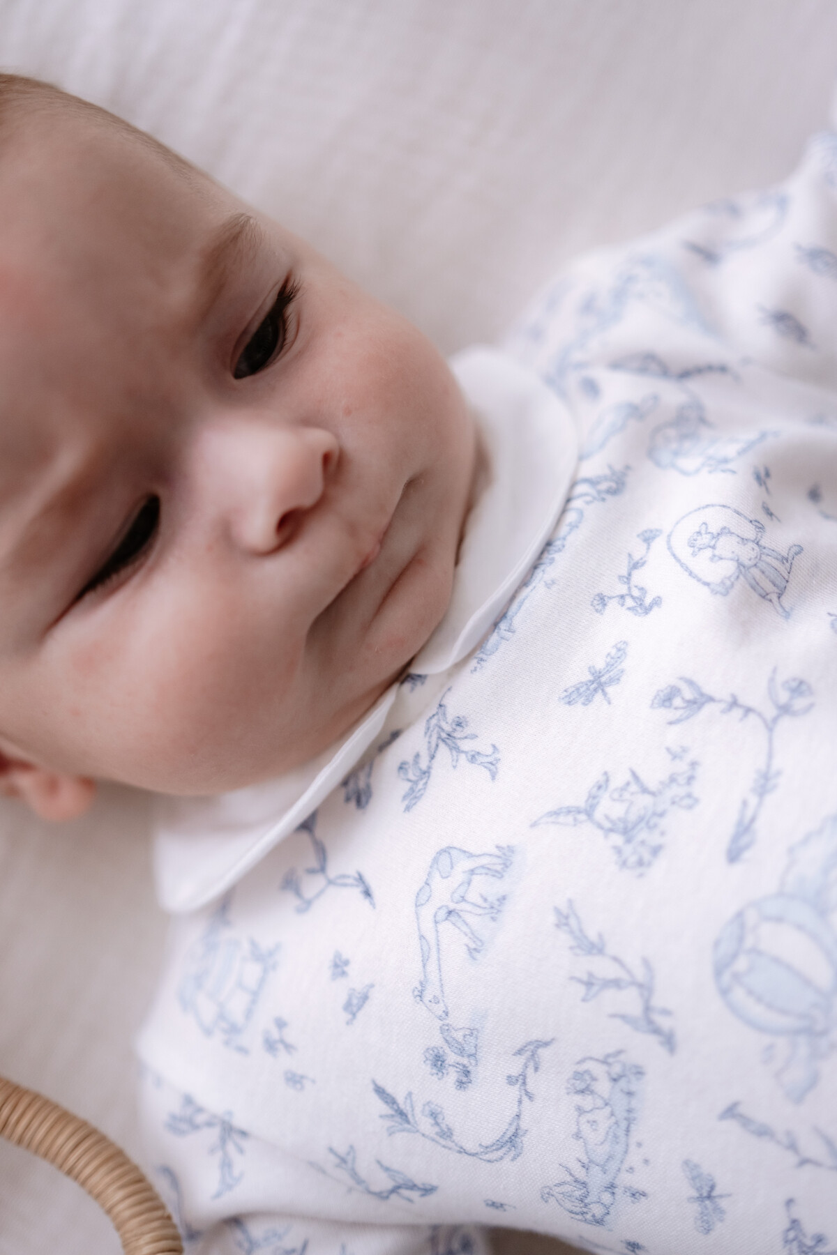 Picture of Bebek Tulum - Toile De Jouy / Mavi