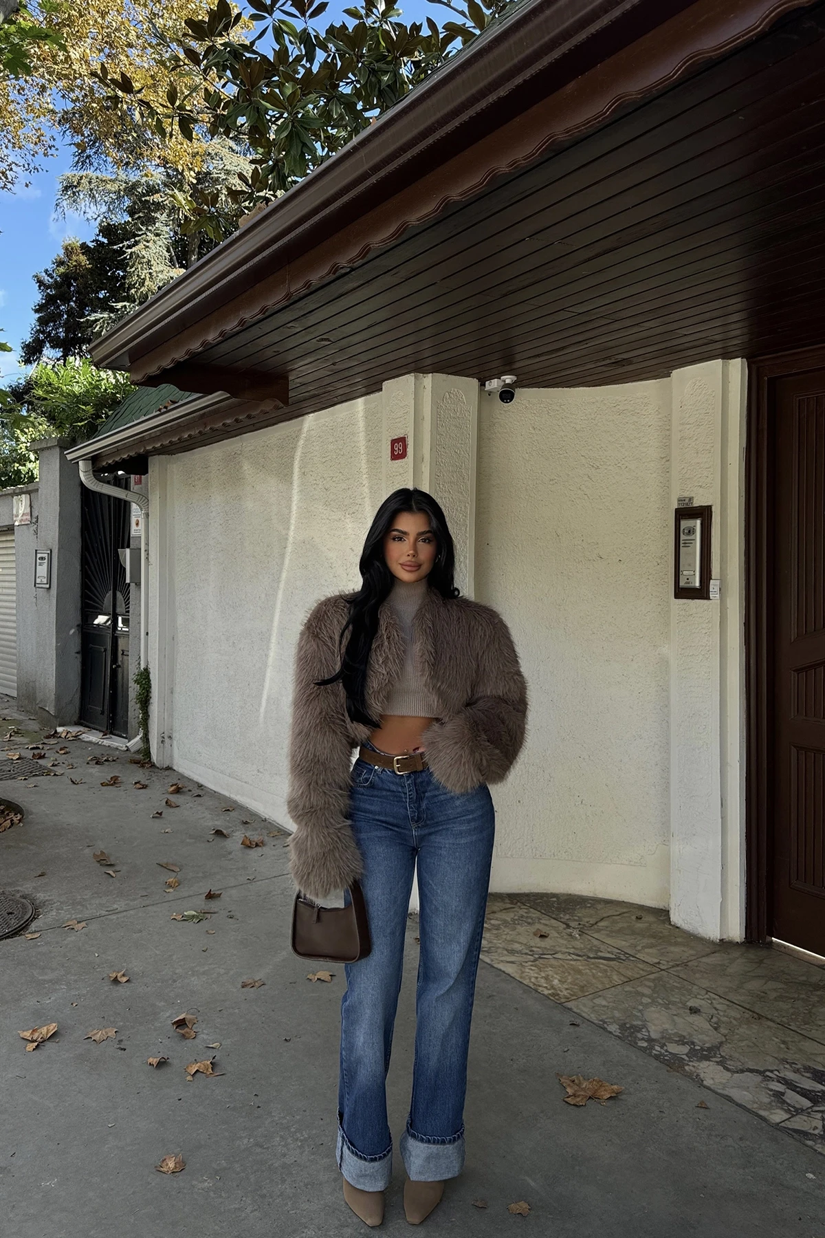 Picture of Mink Short Fur