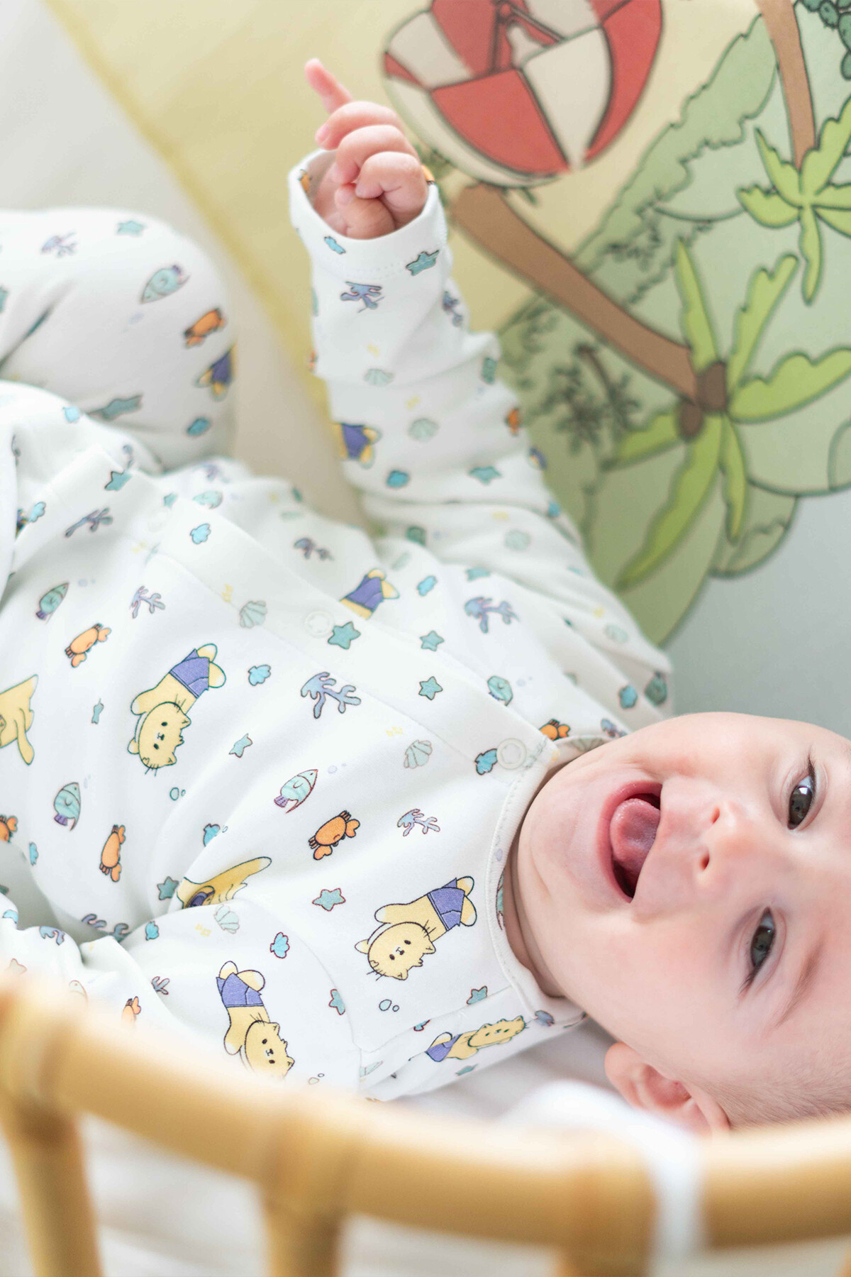 Picture of Bebek Tulum - Sahil