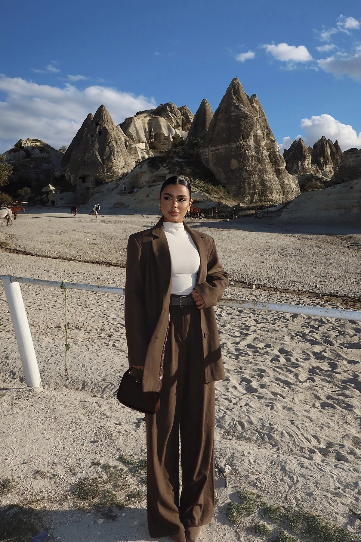 Picture of Brown Harper Suit