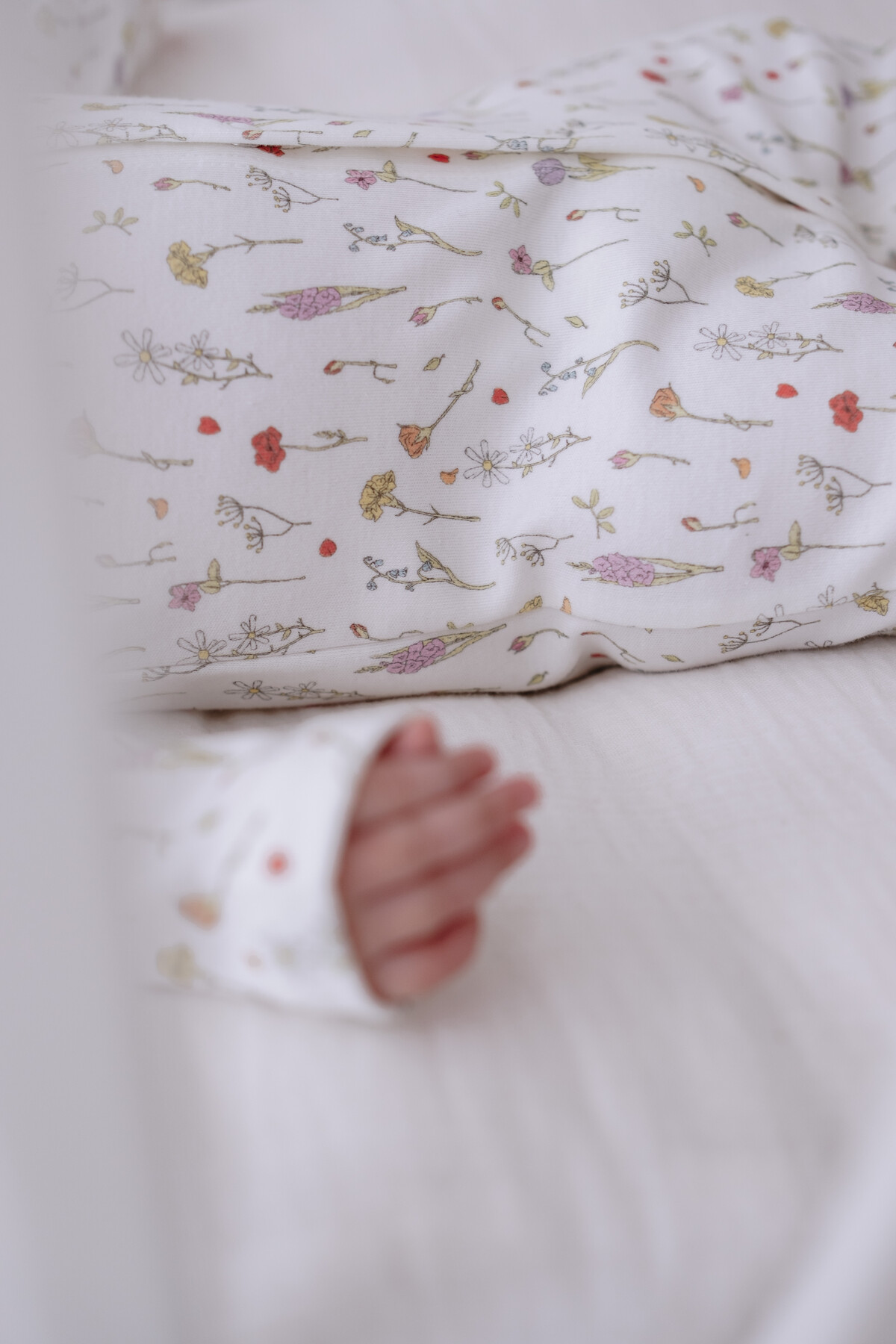 Picture of Bebek Tulum - İlkbahar