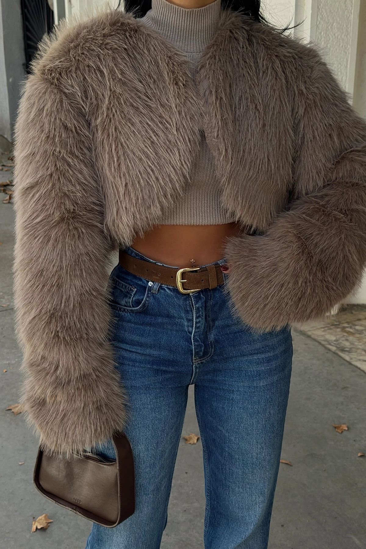 Picture of Mink Short Fur