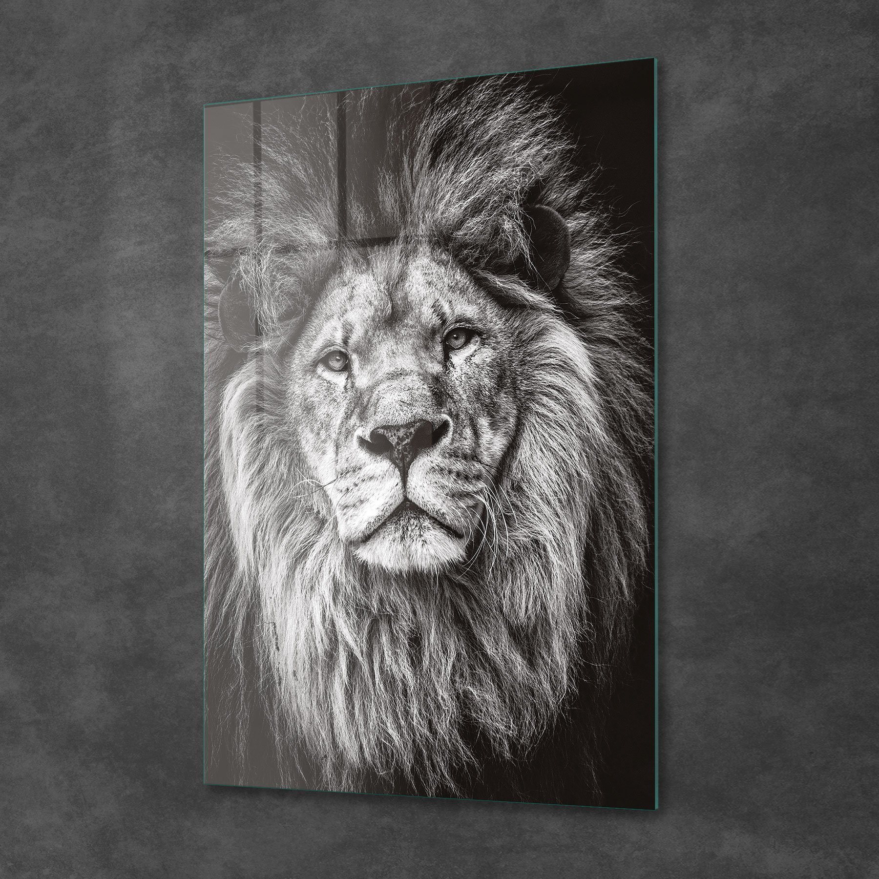 Picture of Decovetro Aslan Desenli Cam Tablo 70x100 cm
