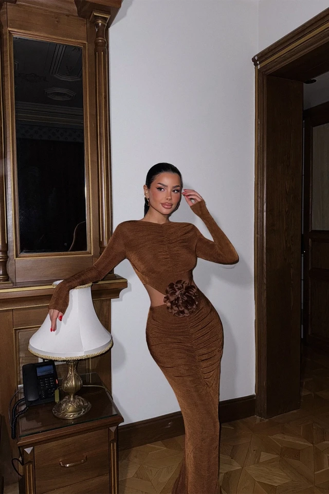 Picture of Brown Fierello Dress