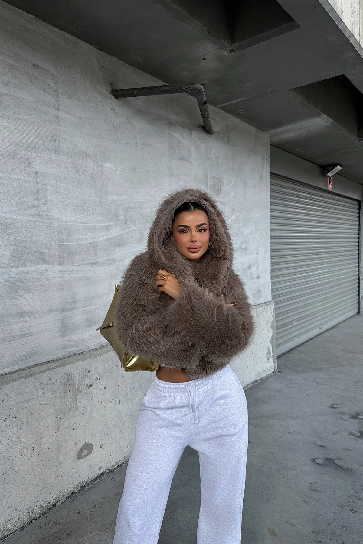 Picture of Brown Vania Hooded Fur