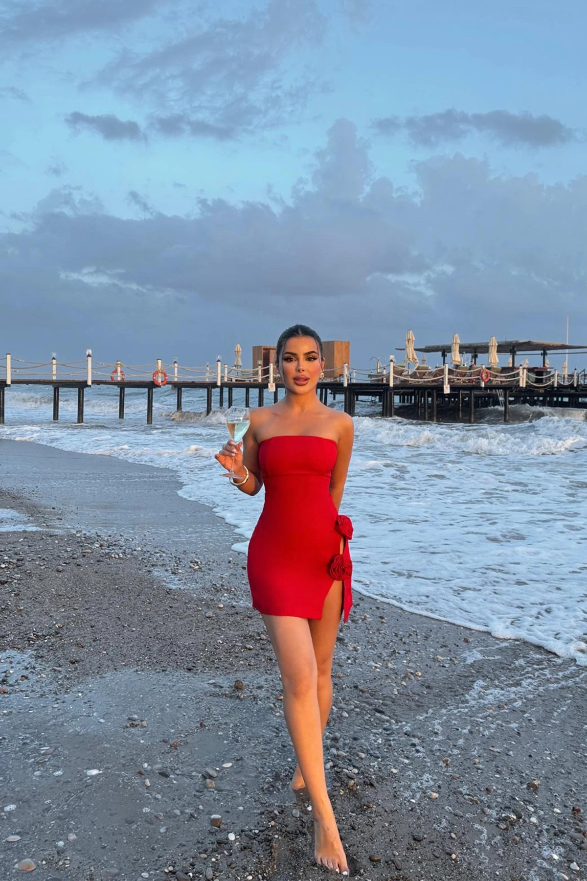 Picture of Red Rose Detail Mini Dress