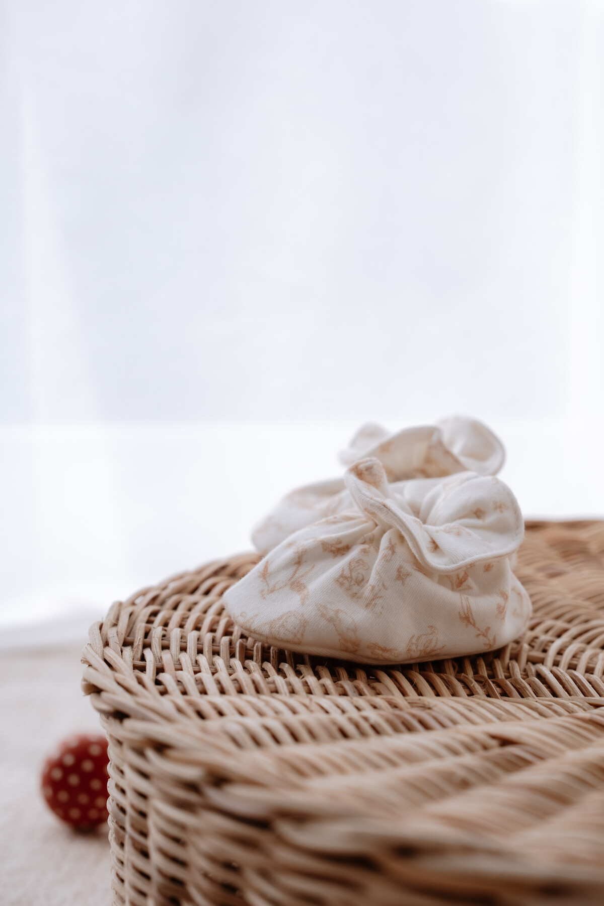 Picture of Bebek Patiği - Toile De Jouy / Bej