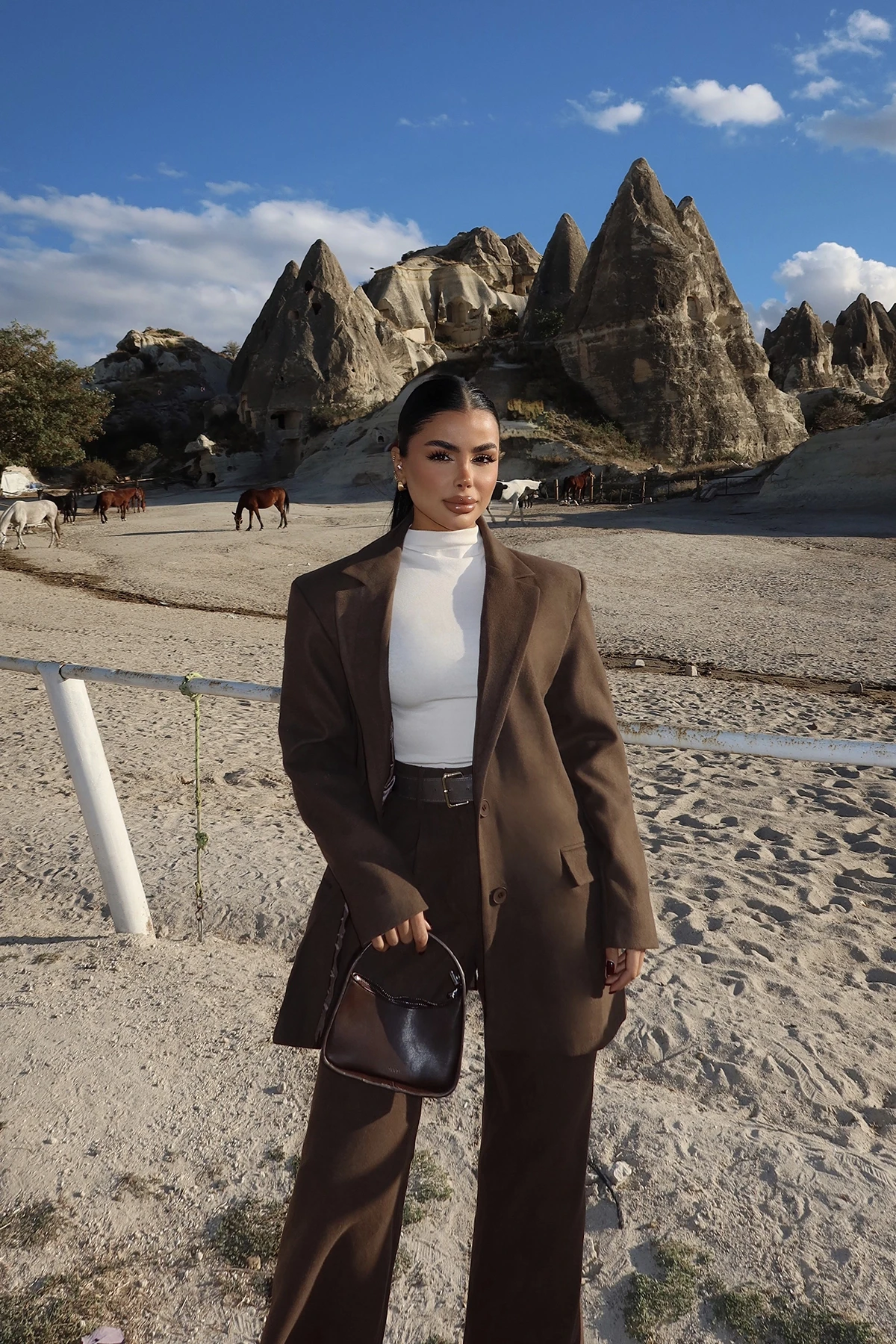 Picture of Brown Harper Suit