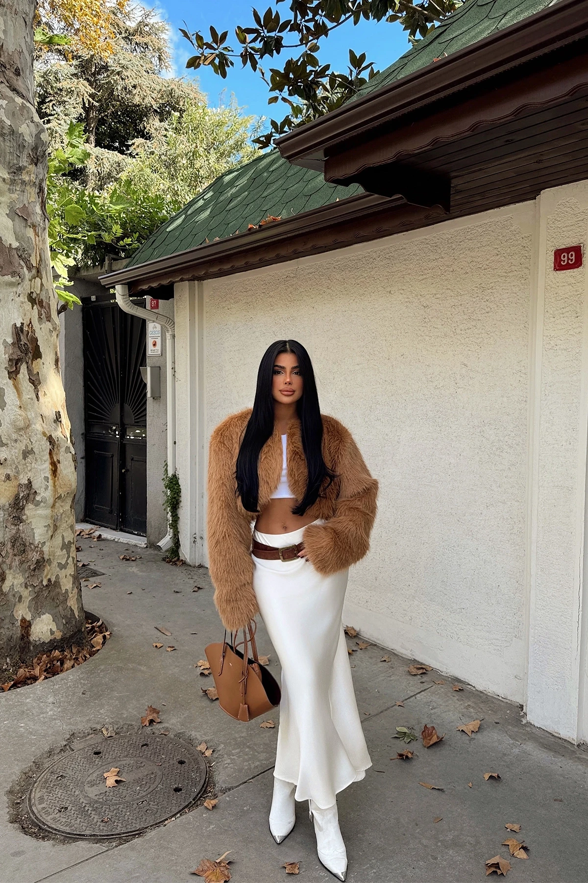 Picture of Tan Short Fur